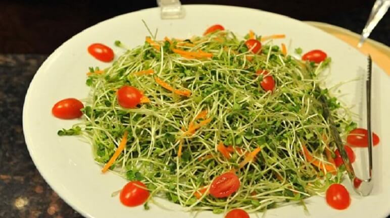 Salat rau mầm cải trắng