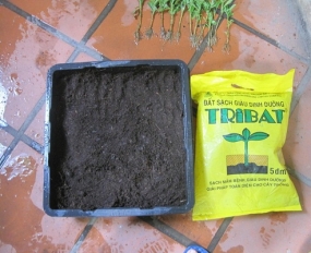 Đất sạch tribat 5dm3